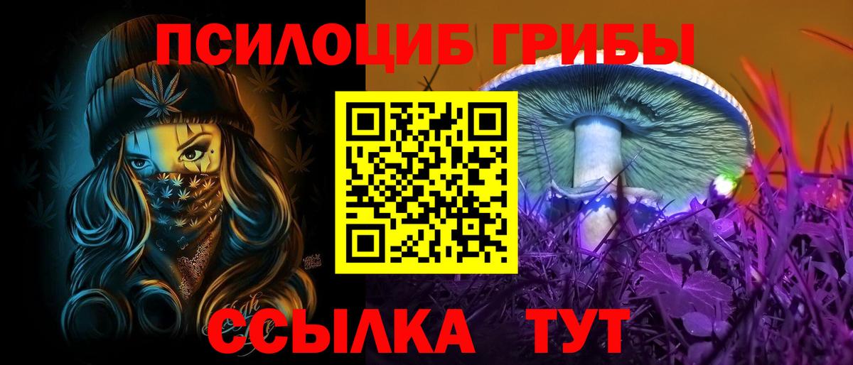 Псилоцибиновые грибы прущие грибы  закладки  Минеральные Воды  Вход с VPN 